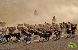 mmexport1521208047806