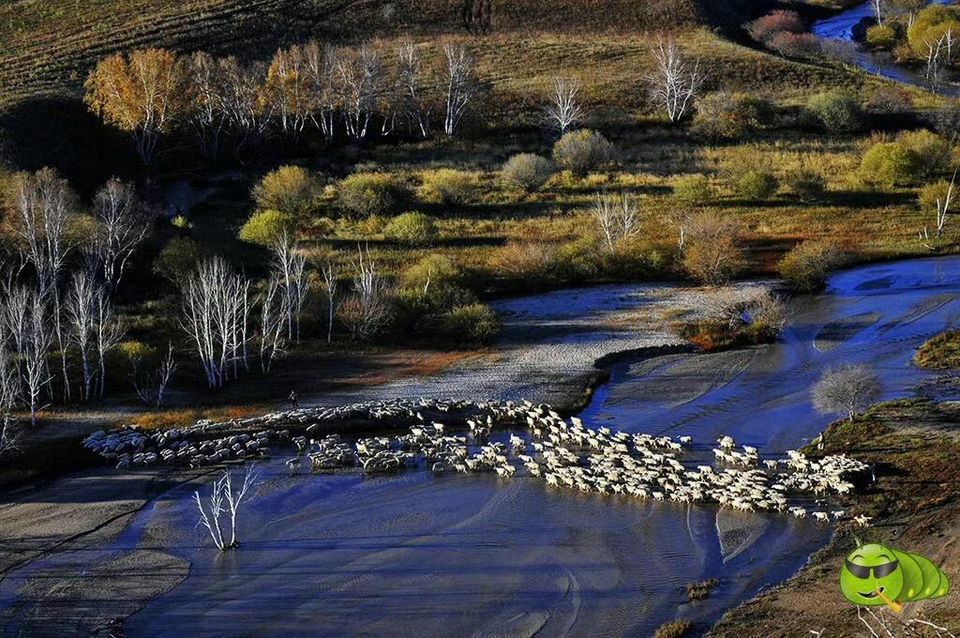 mmexport1521208055543