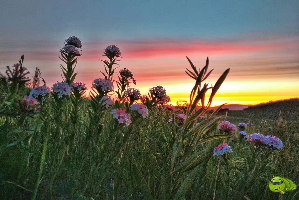 mmexport1521208185535