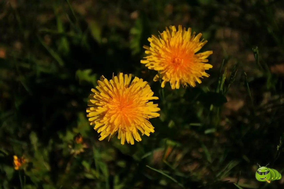 mmexport1521209784108