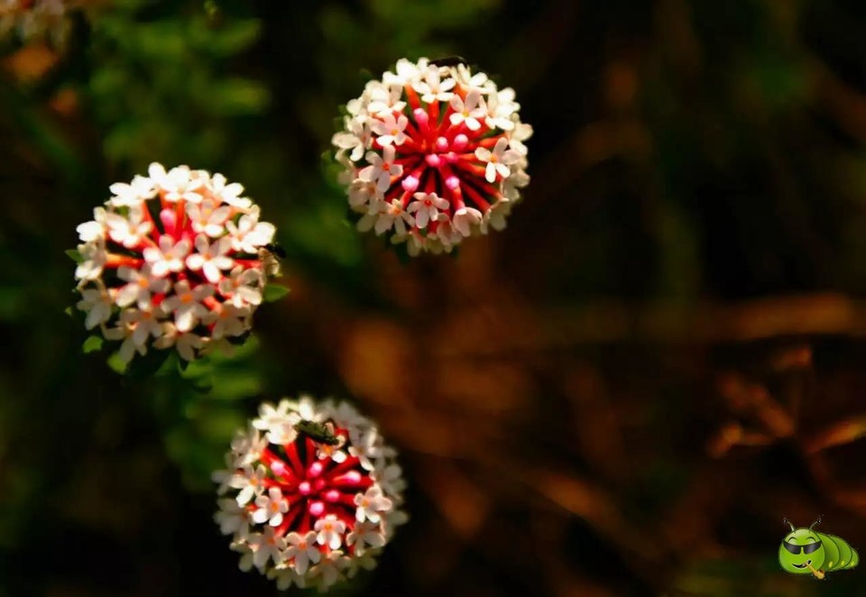 mmexport1521209829870