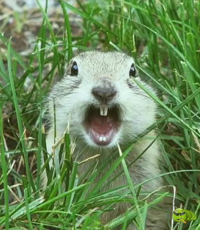 mmexport1521209957894