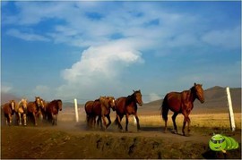 mmexport1521209995568