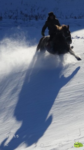 Screenshot_20170128-194347