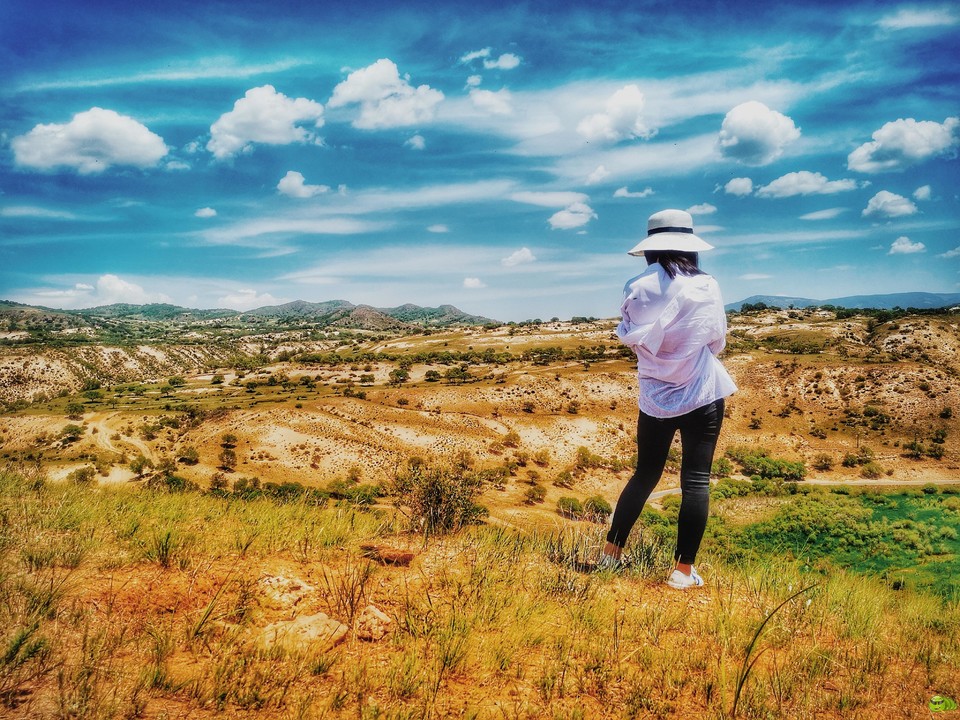 IMG_20180623_120848-01-01