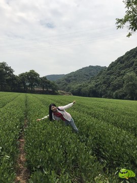 mmexport1502554820439