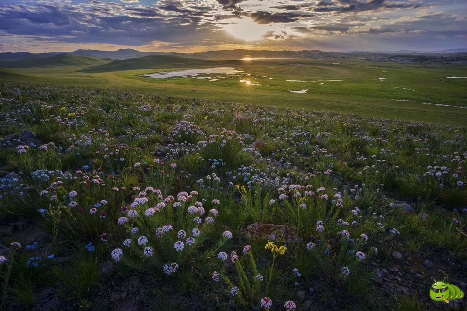 mmexport1560909624887