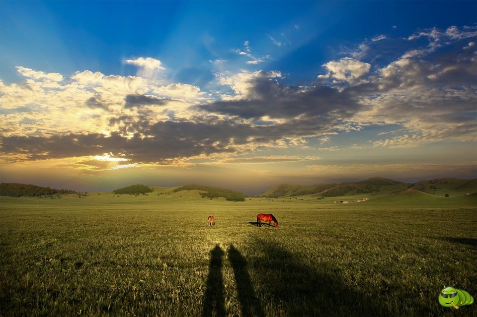 mmexport1560910389196