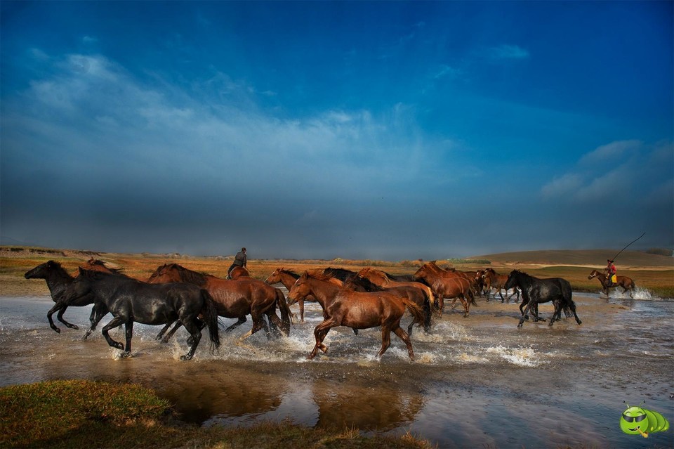 mmexport1560990937167