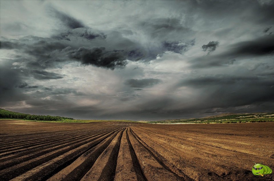 mmexport1560911777680