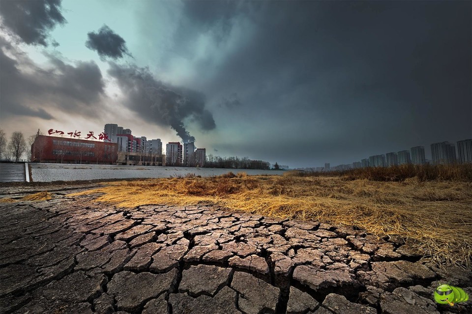 mmexport1549630816601