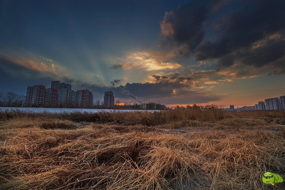 mmexport1550658837186