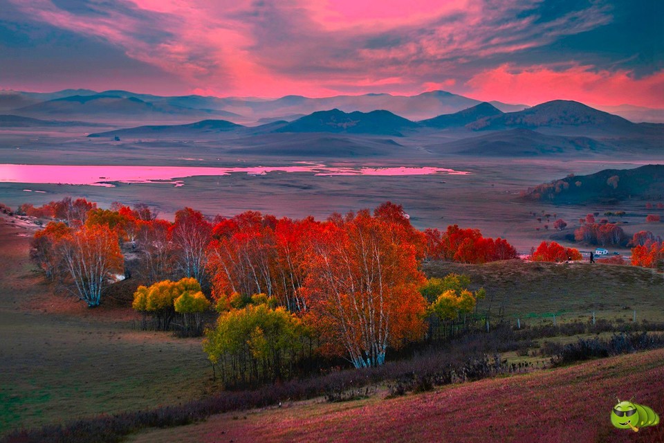 mmexport1549165378845