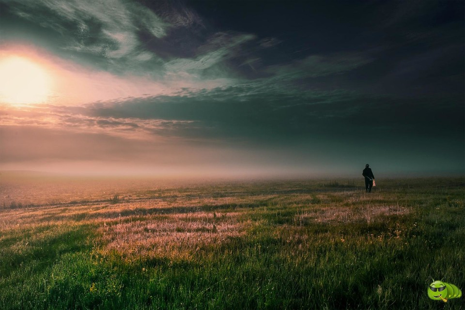 mmexport1551261221919