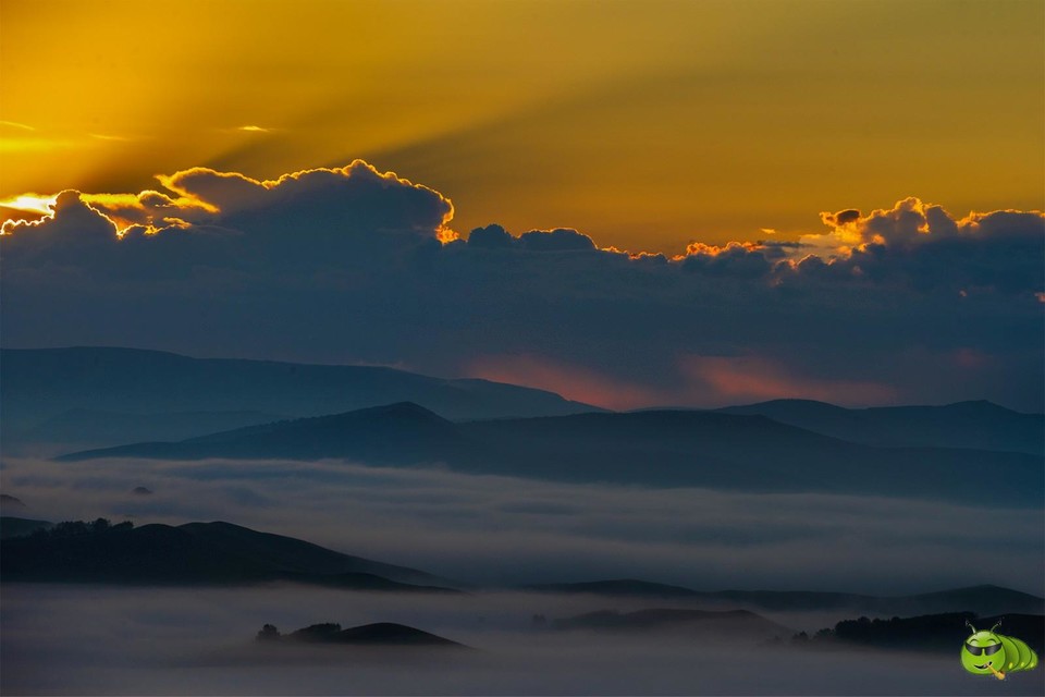 mmexport1551091037703