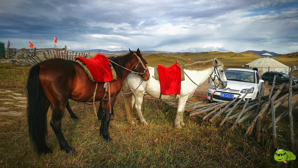 IMG_20160916_163228-01