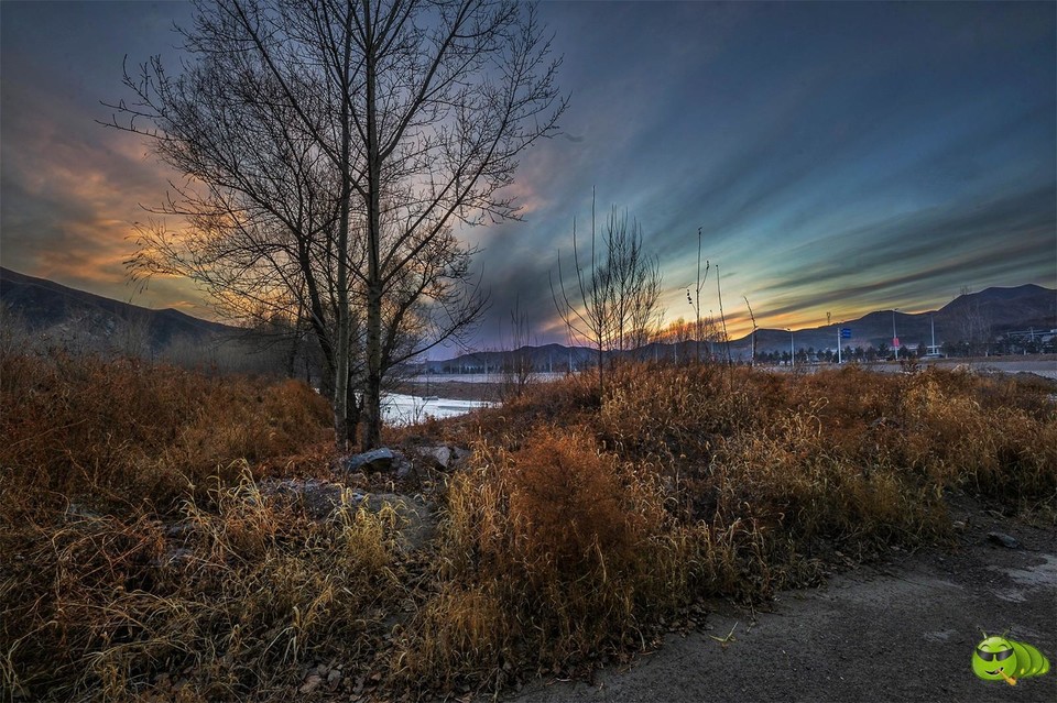 mmexport1547895138429-01