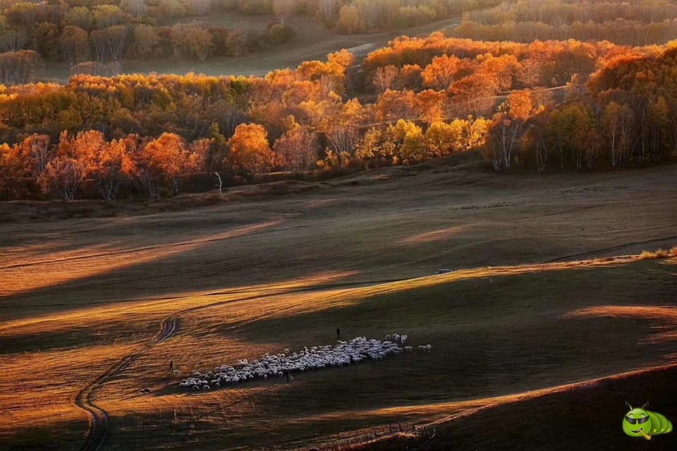 mmexport1569672593235