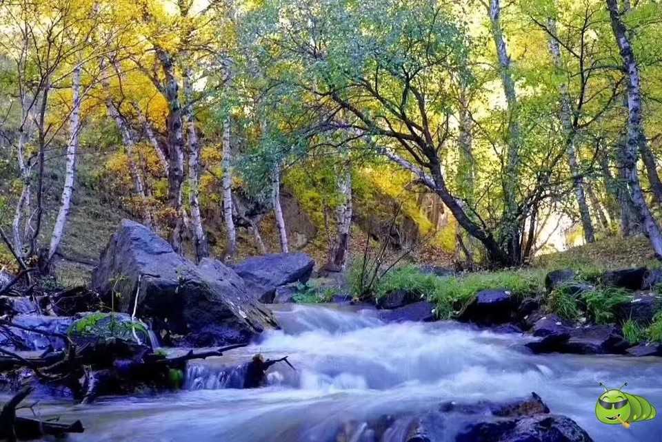 mmexport1569672589152