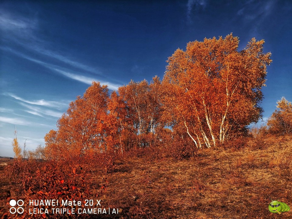 IMG_20190924_164005-01