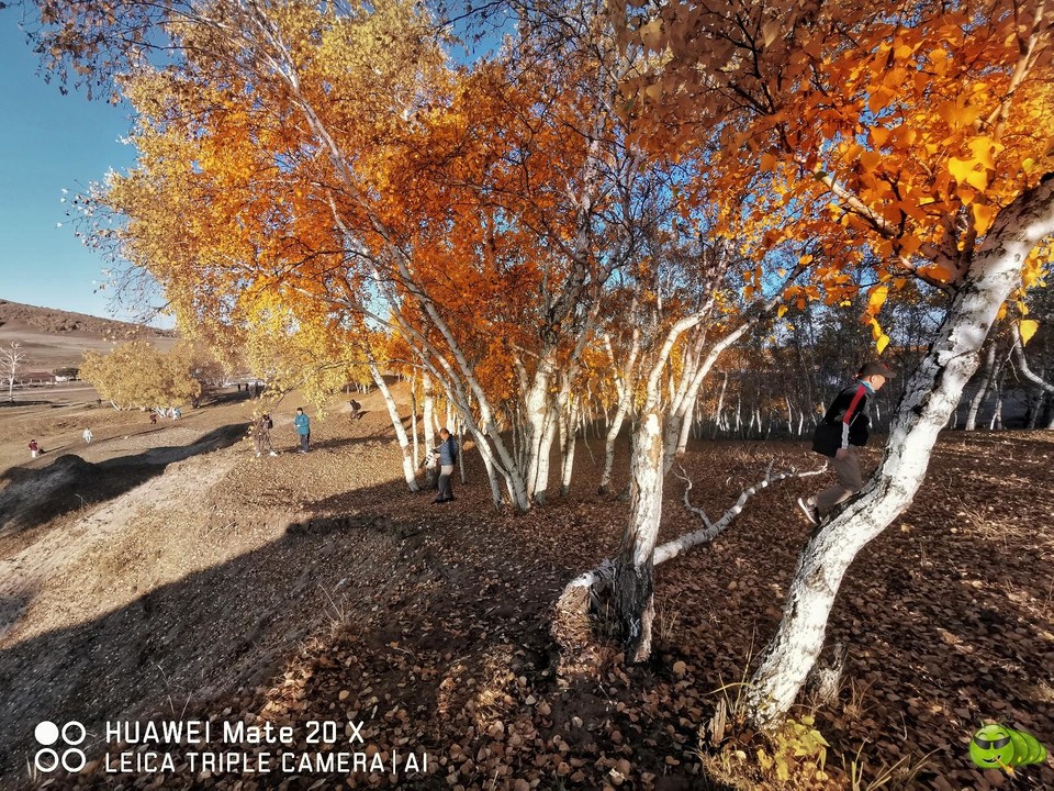 IMG_20190924_064749-01