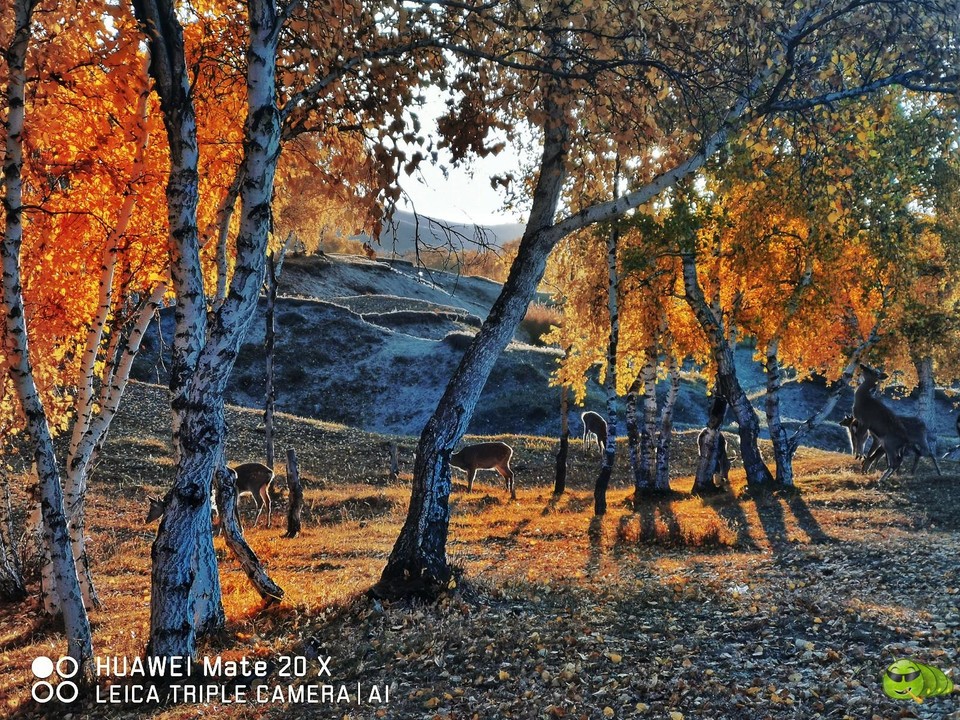 IMG_20190924_062852-01