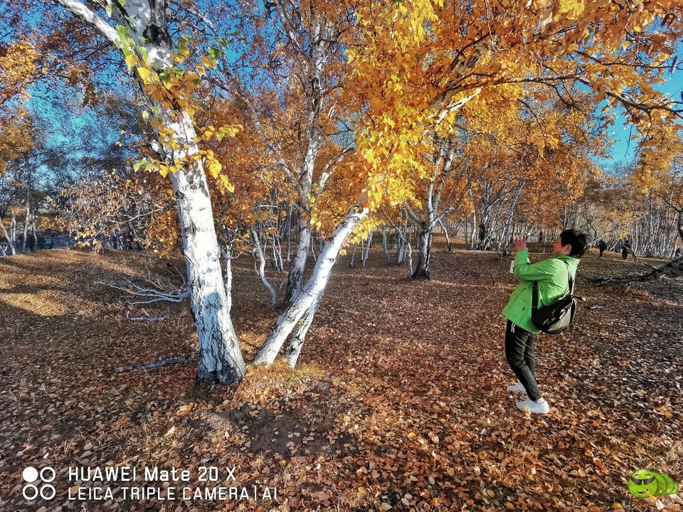 IMG_20190924_064533-01