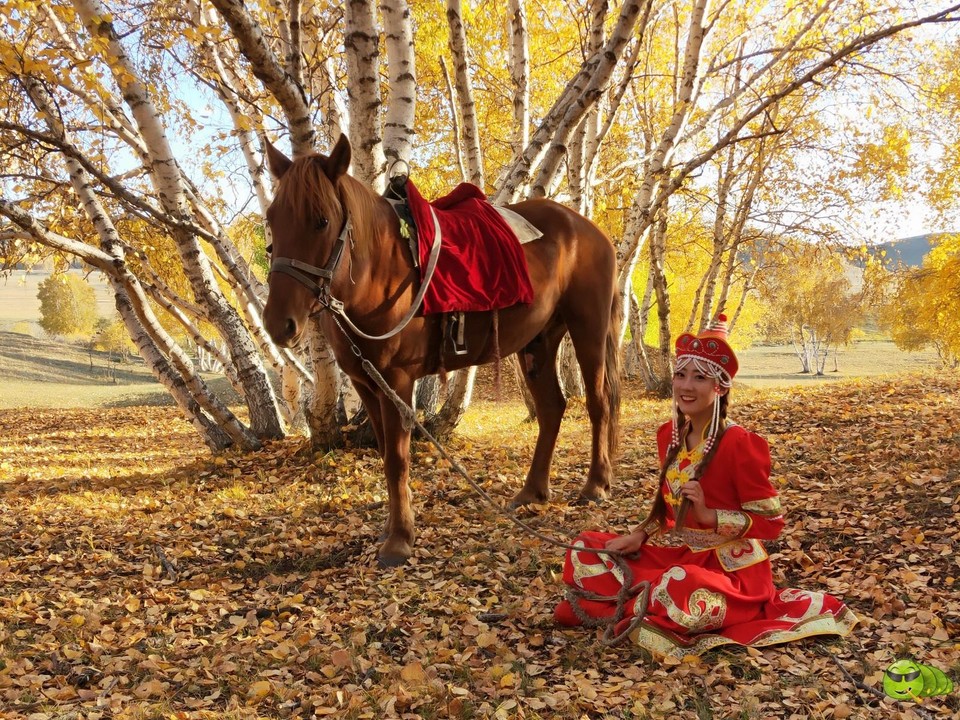 mmexport1569326008011