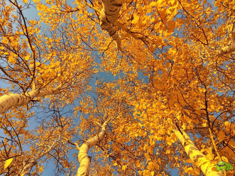 mmexport1569326041489