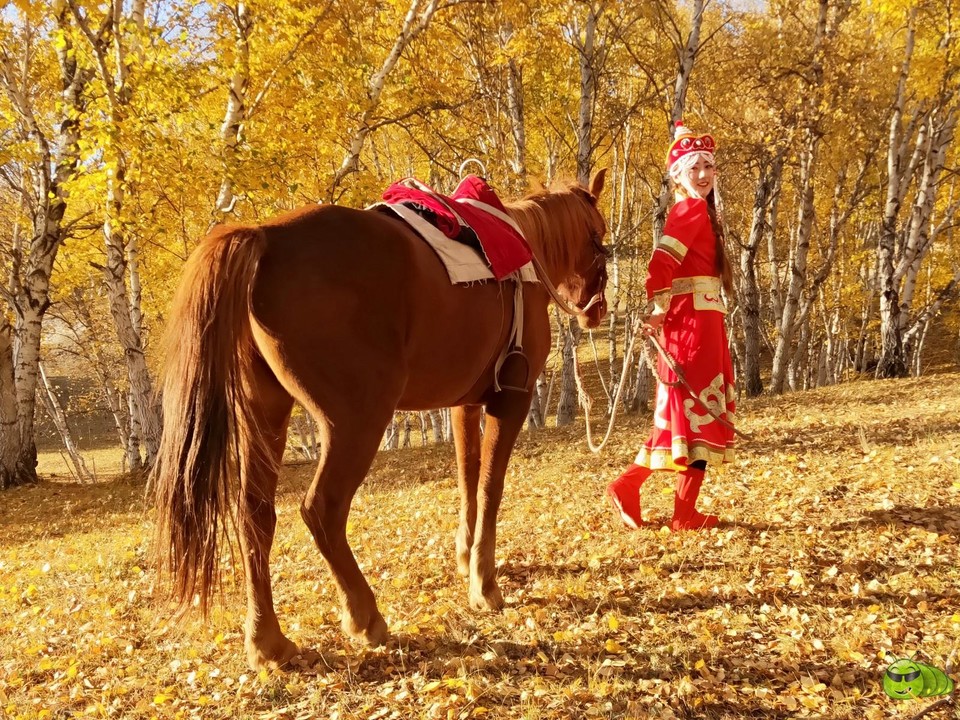 mmexport1569325982290