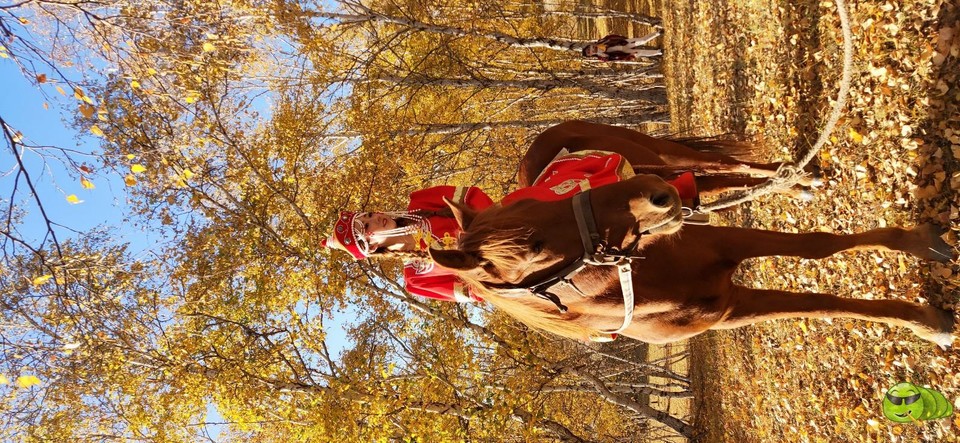 mm2xport1569325955765