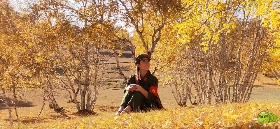 mmexport1569325850306