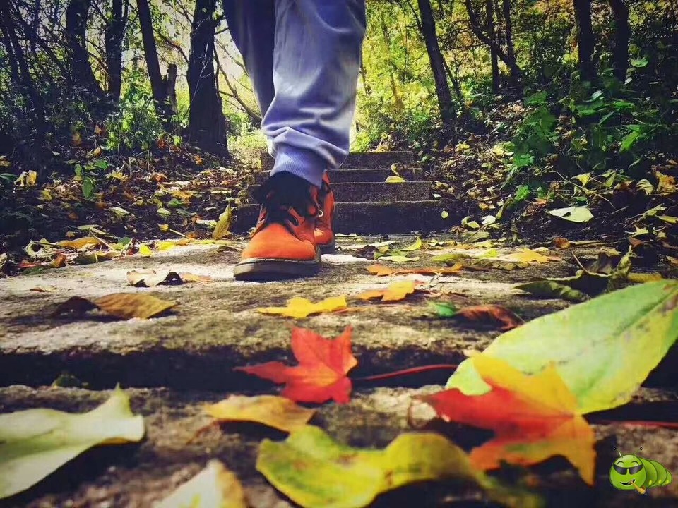 mmexport1569182870688