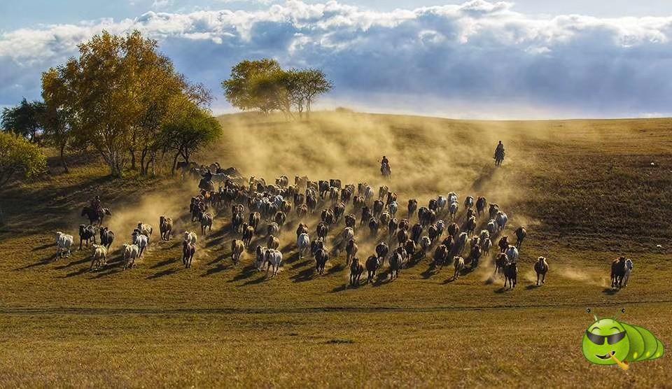 mmexport1569125146852