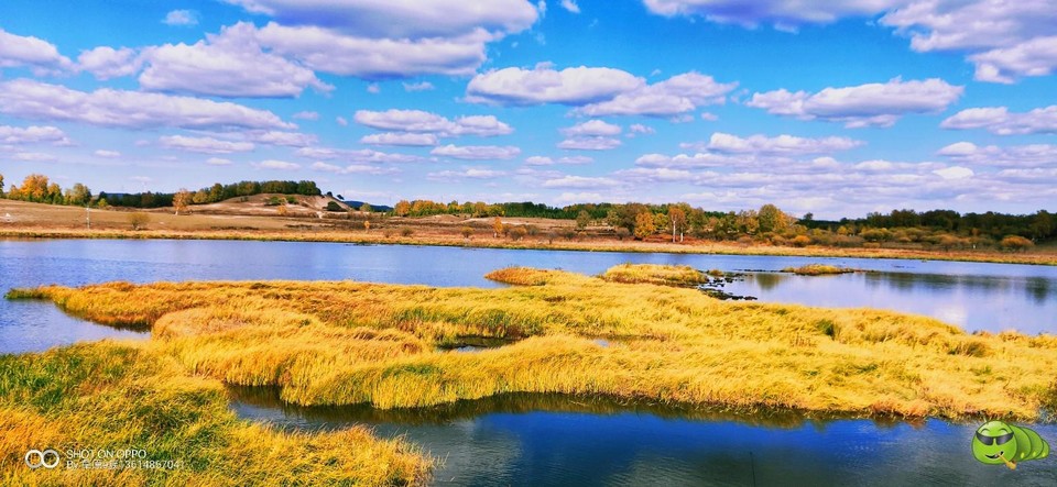 mmexport1569159255042