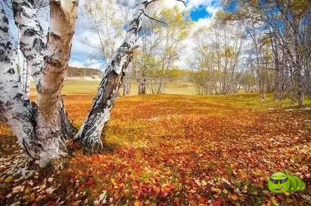 mmexport1567557540202