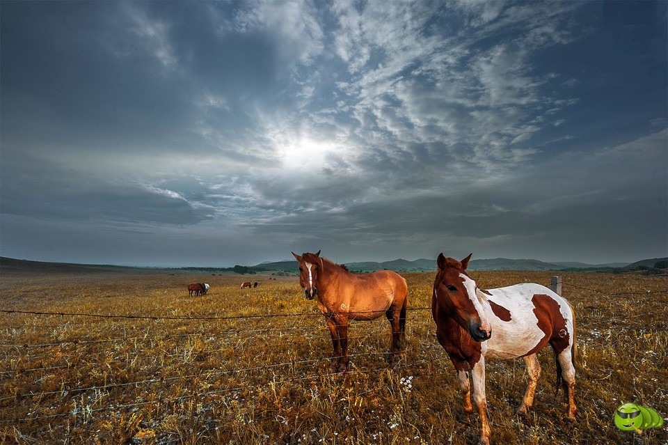 mmexport1569460797519