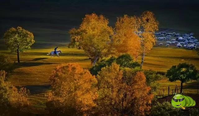 mmexport1567557555778