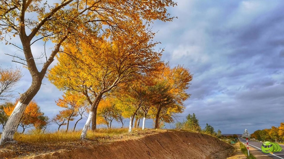 mmexport1567557122029