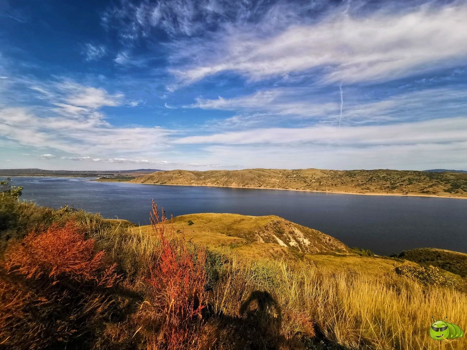 IMG_20190910_154645-01