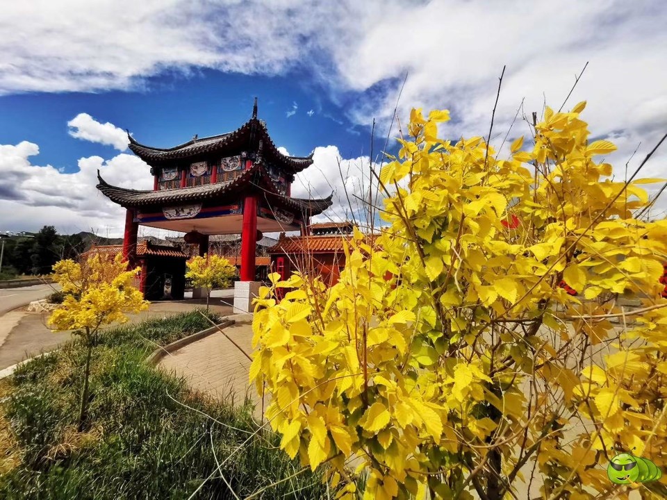 mmexport1594885734282