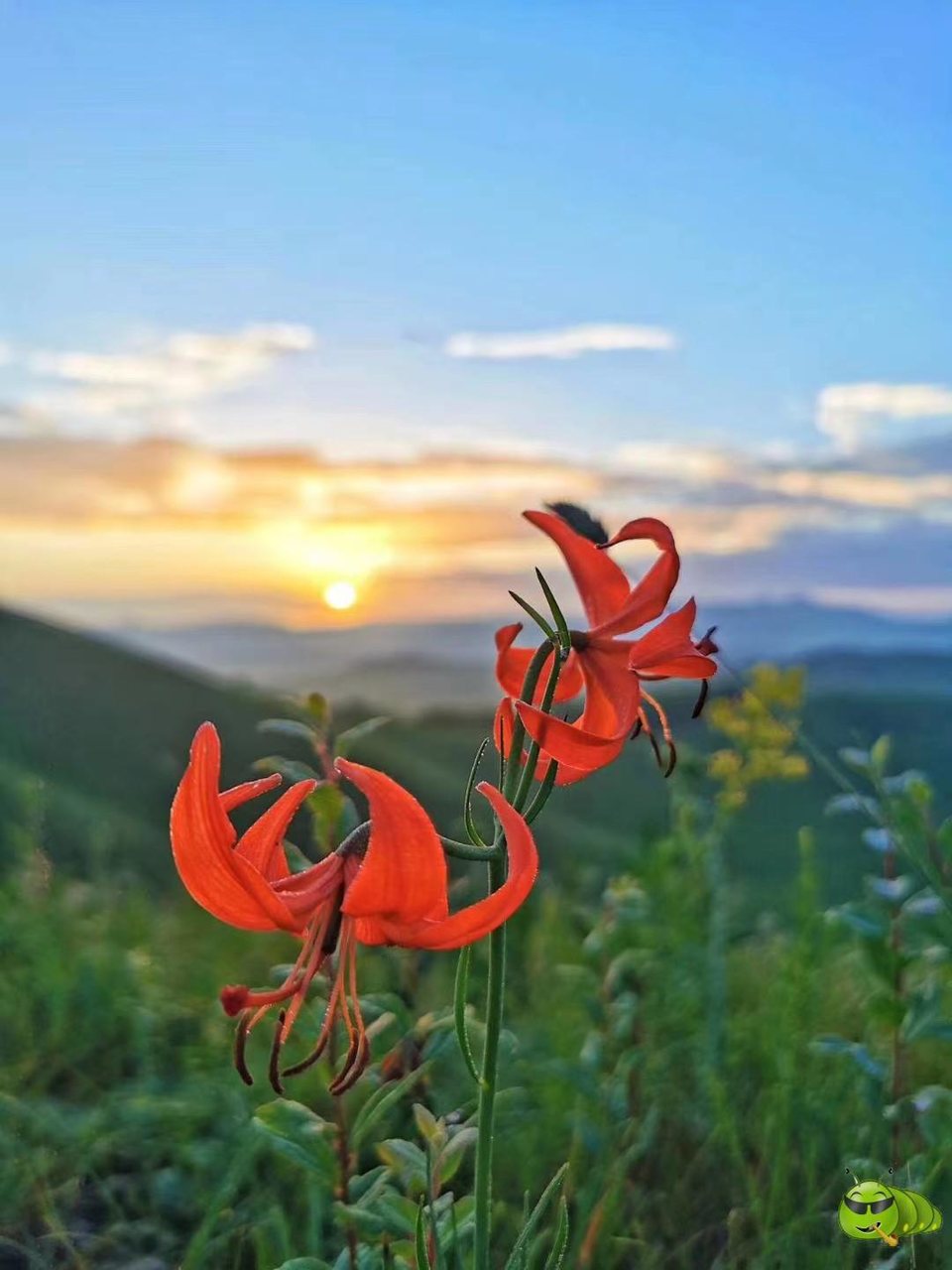 mmexport1594511966948