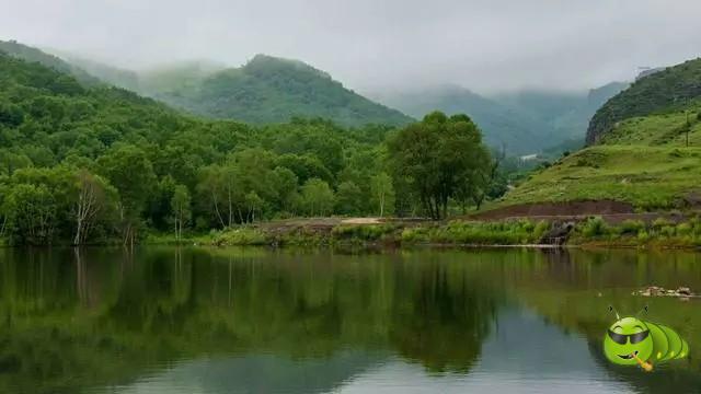 mmexport1594594465079