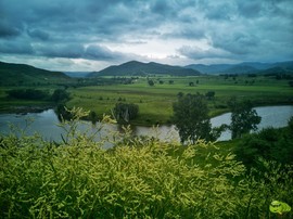 IMG_20200718_144537-01