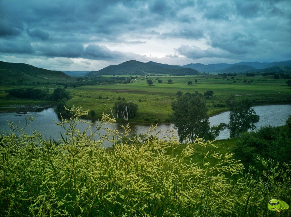 IMG_20200718_144537-01