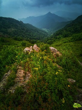 IMG_20200712_103818-01