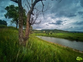 IMG_20200718_145427-01