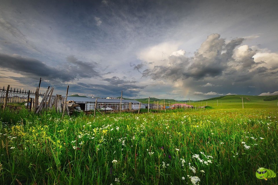 mmexport1593998217773