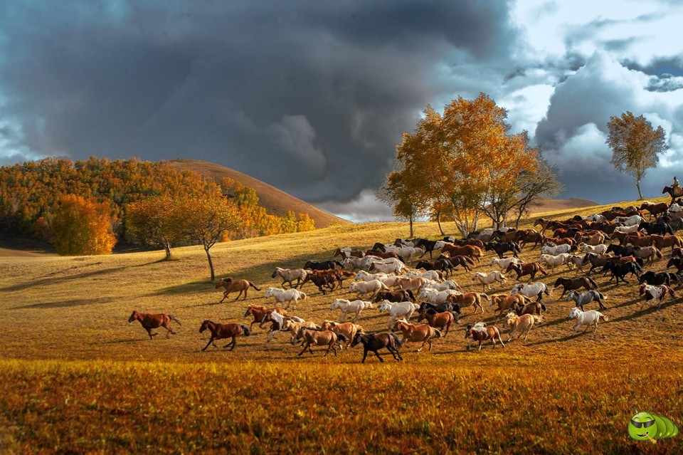 mmexport1598108082669