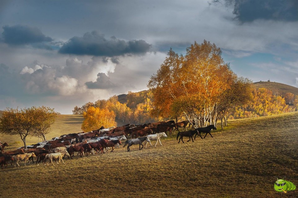 mmexport1598108100370